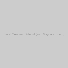 Image of Blood Genomic DNA Kit (with Magnetic Stand)